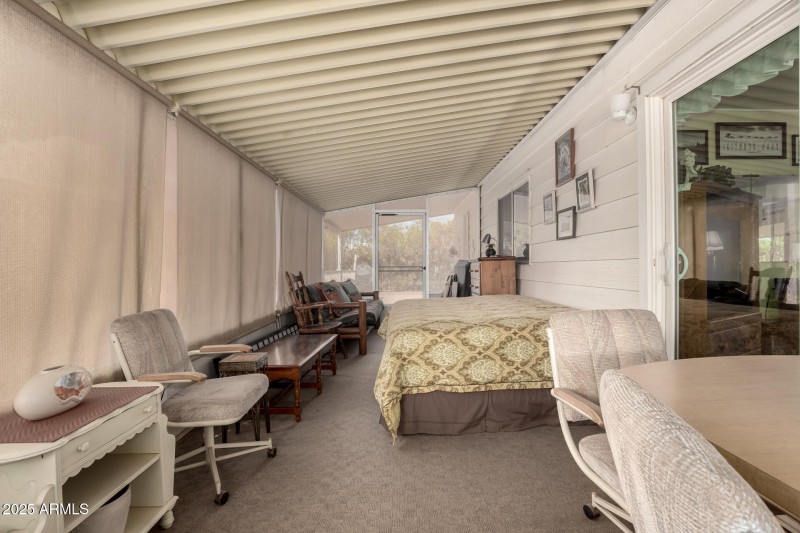 28 - Cactus Lane 9254