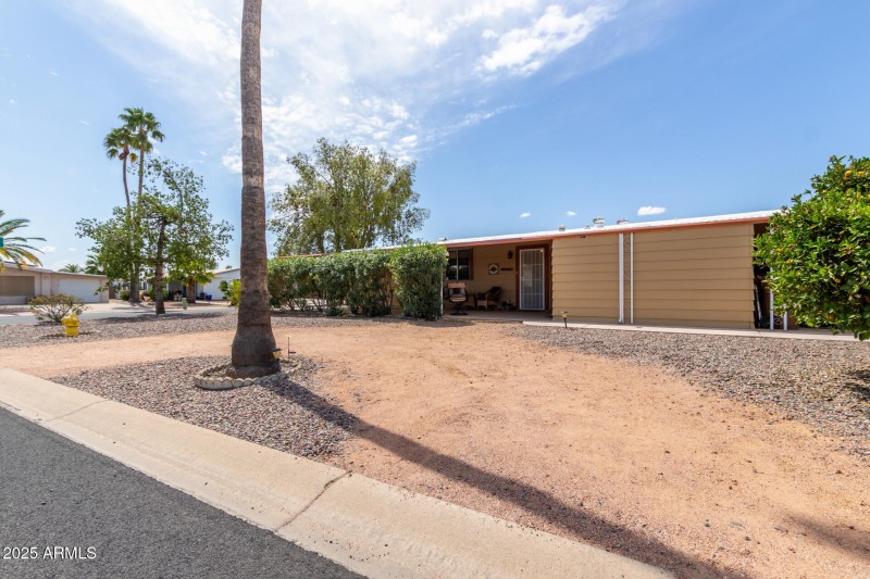 32 - Cactus Lane 9254