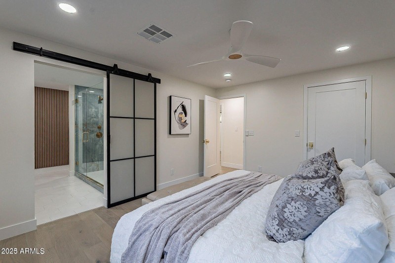 Master Barn Door