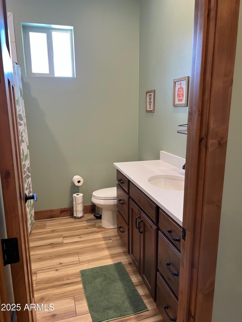 Guest bathroom