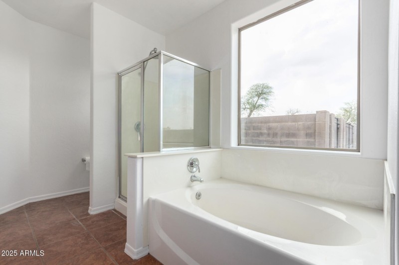 Owners Bath/Tub/Shower