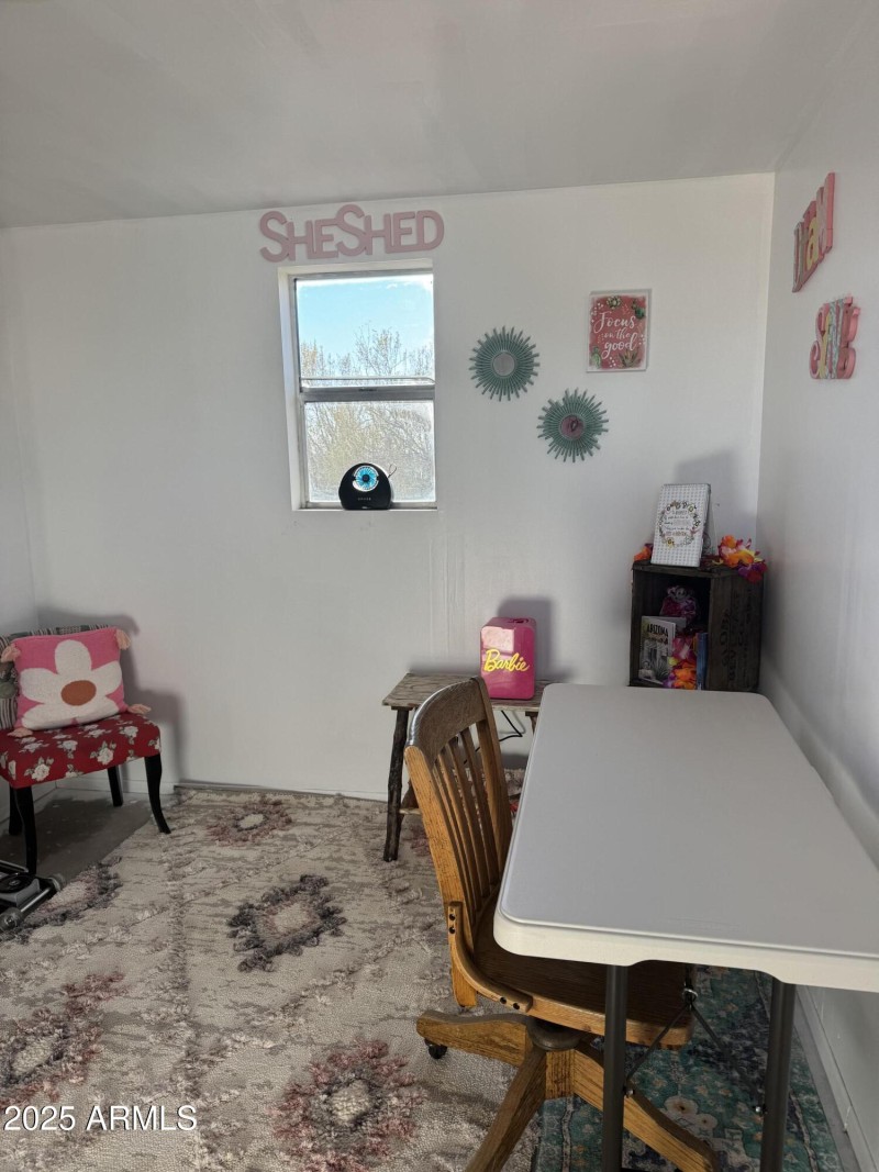 Shed Interior