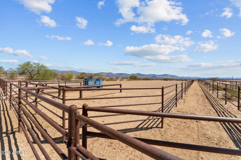 47-web-or-mls-DSC07118