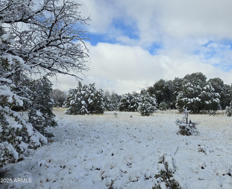 5.05 Acres Looking NE over Meadow