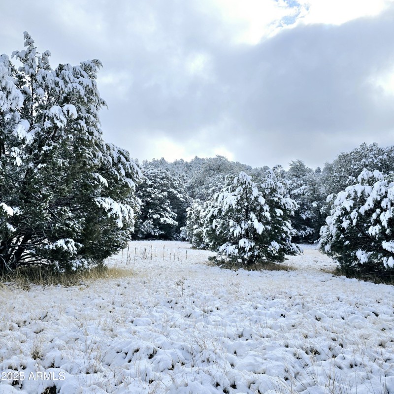 5.05 Acres with lg Juniper trees