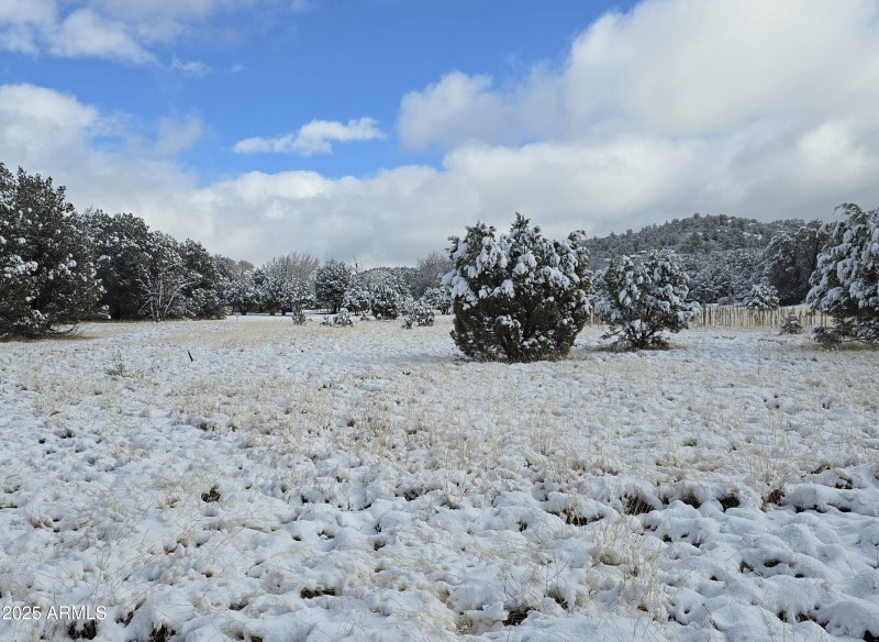 5.05 Acres View to North