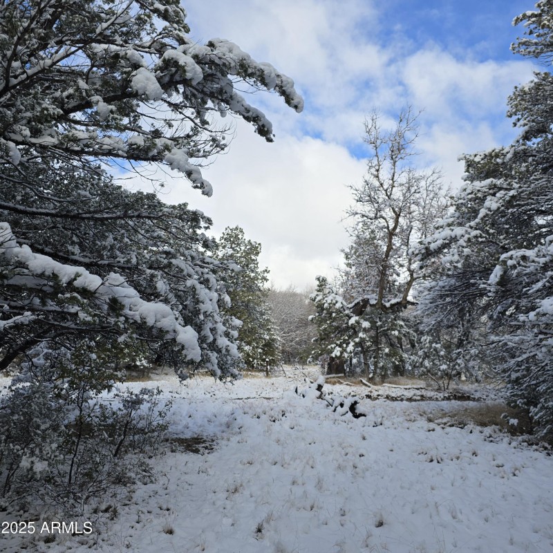 Driveway back to Easement