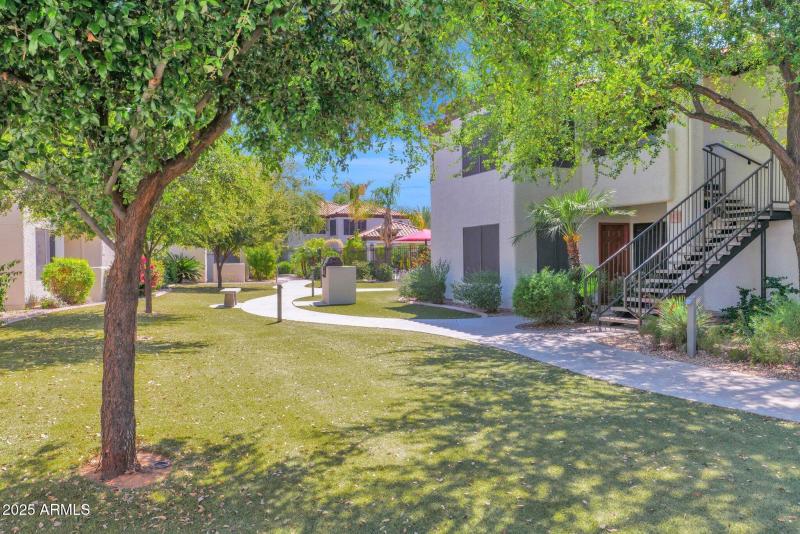 6-web-or-mls-P1166720