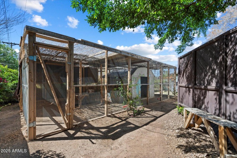 Chicken Coop
