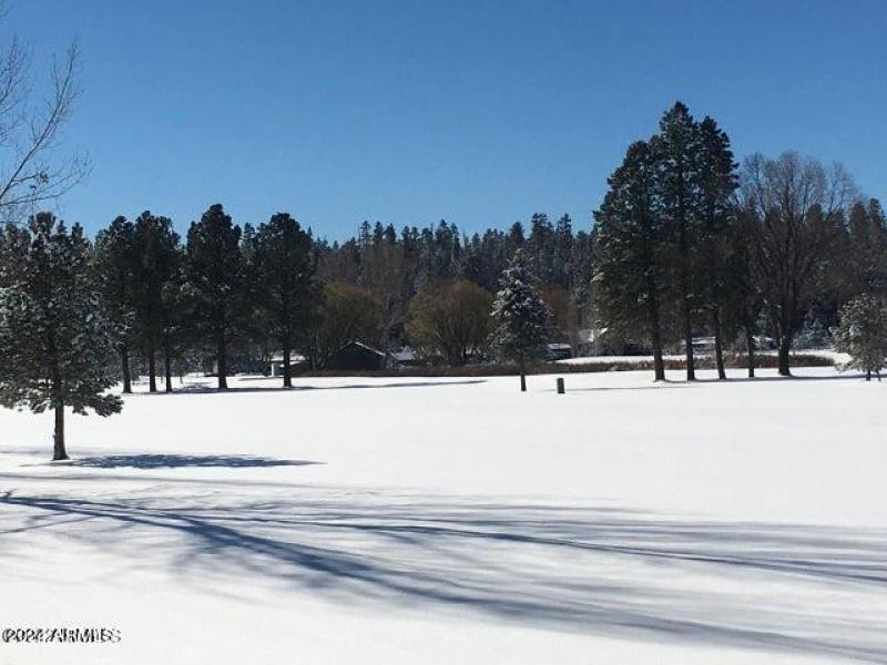 snowy course