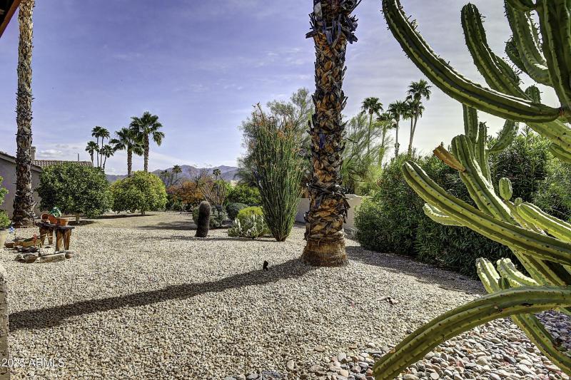 25829 N Bolero Bend (13)