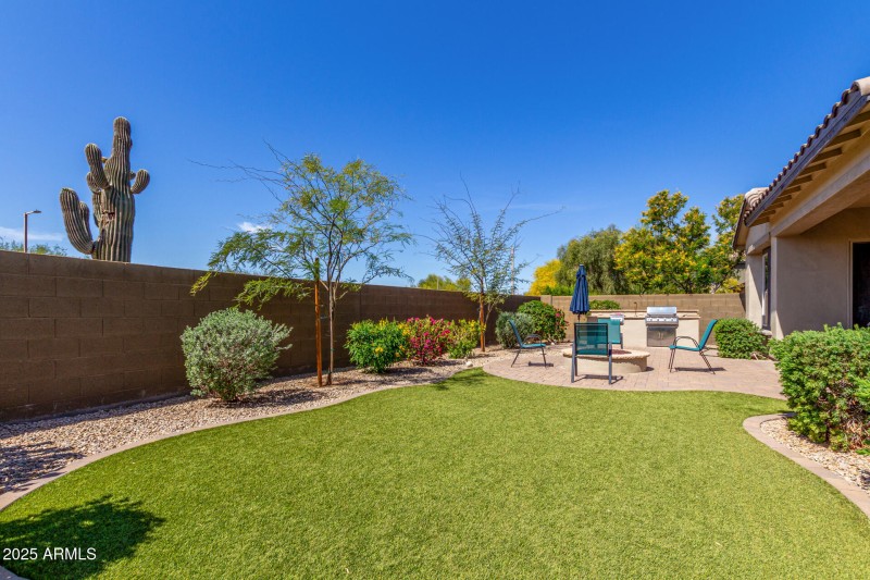 Backyard