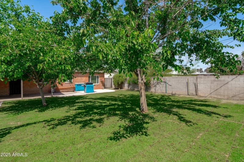 34-Backyard View