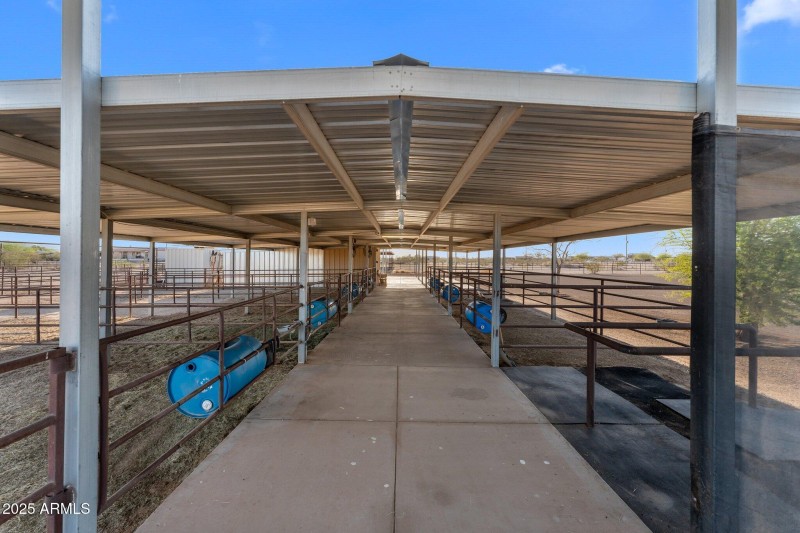 49-web-or-mls-DSC08333