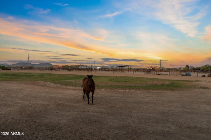 62-web-or-mls-DSC08398