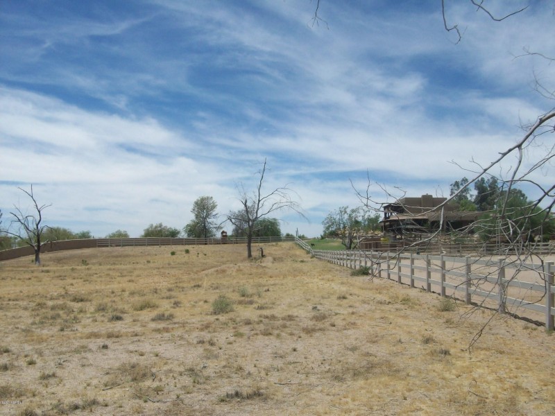 North fence line 2
