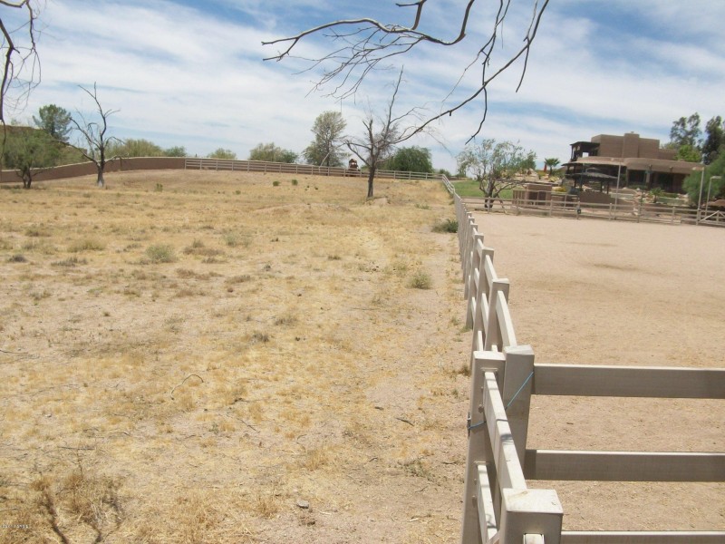 North fence line