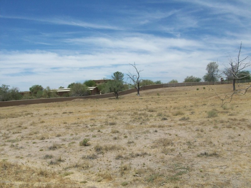 North view 2