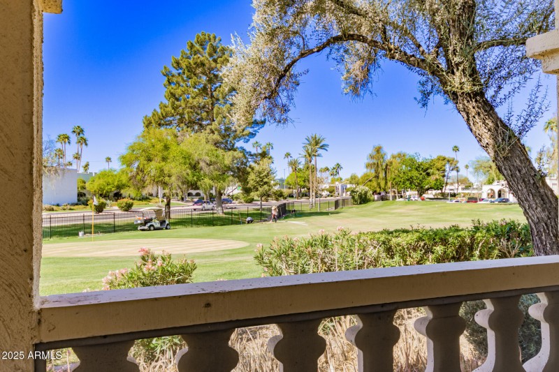 21 - Camelback
