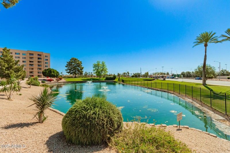 24 - Camelback