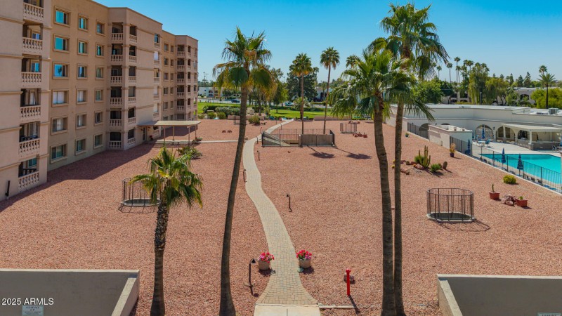 28 - Camelback Drone
