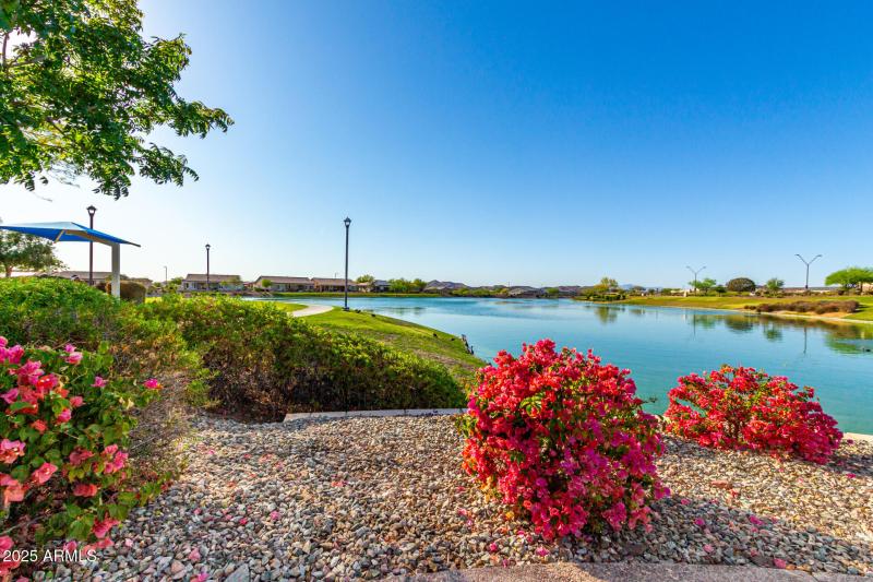 View at the resort pool