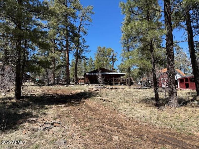 2 lots included!