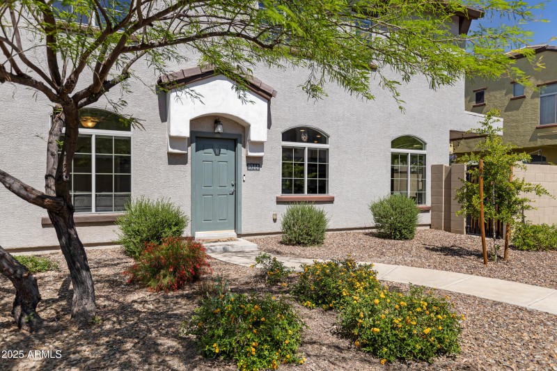 Desert scaped front yard