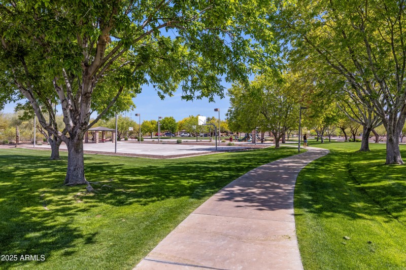 Walking path in complex