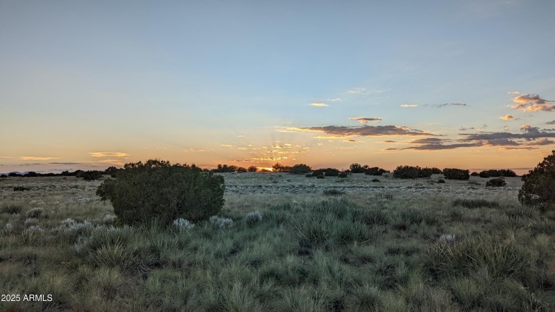 PXL_20220905_013327446