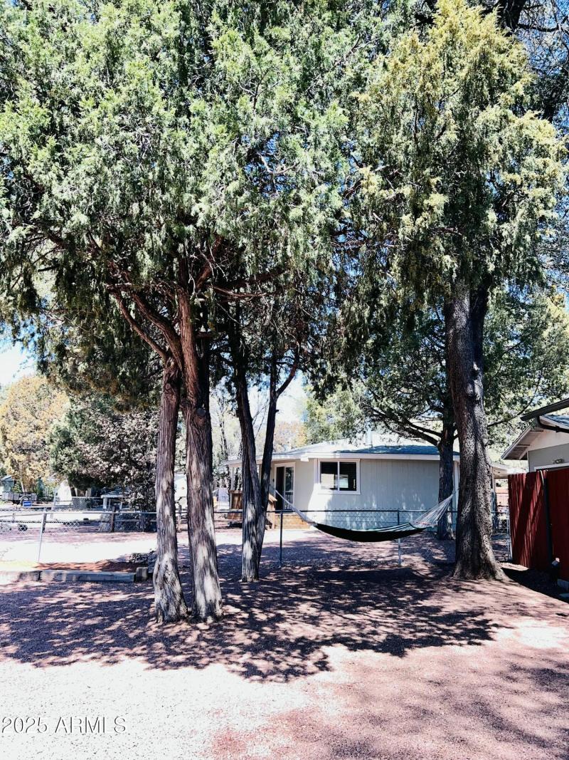Front Trees