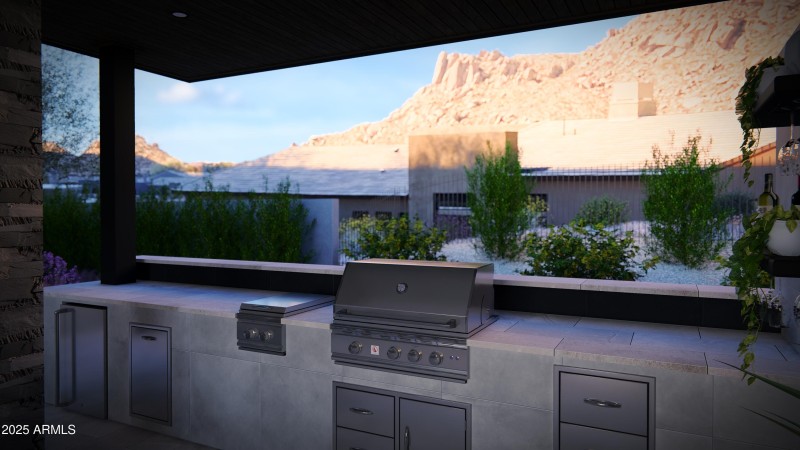 Gourmet Outdoor Kitchen