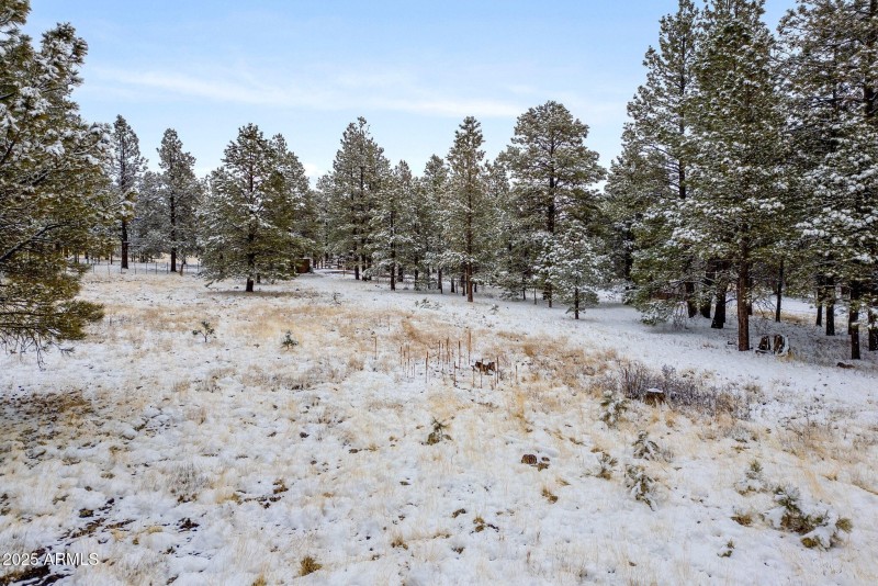 HMRParcel-Greer-AZ-1