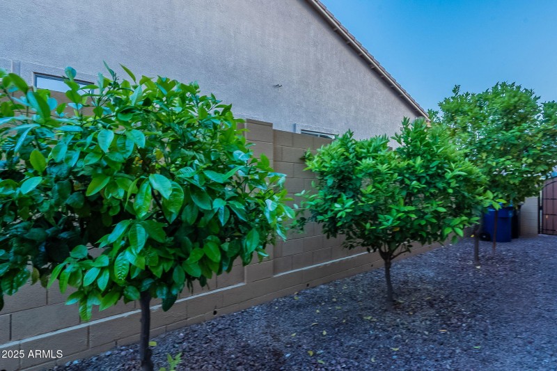 80-web-or-mls-Indigo-twilight-11