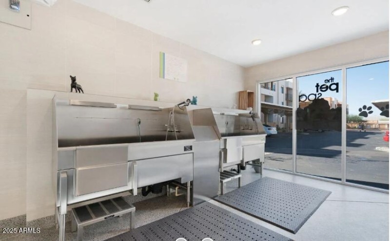Pet Washing Station