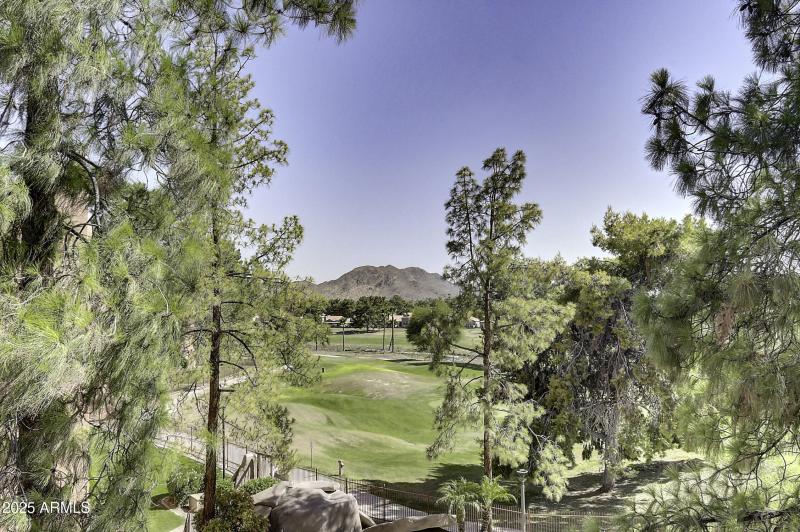 4303 E Cactus Rd Unit 442 (24)