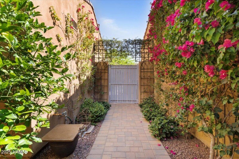 Back courtyard gate