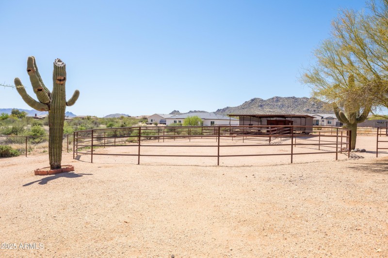 Horse Set-up