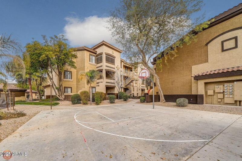 Basketball