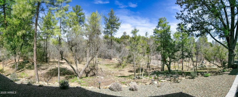 Side Yard
