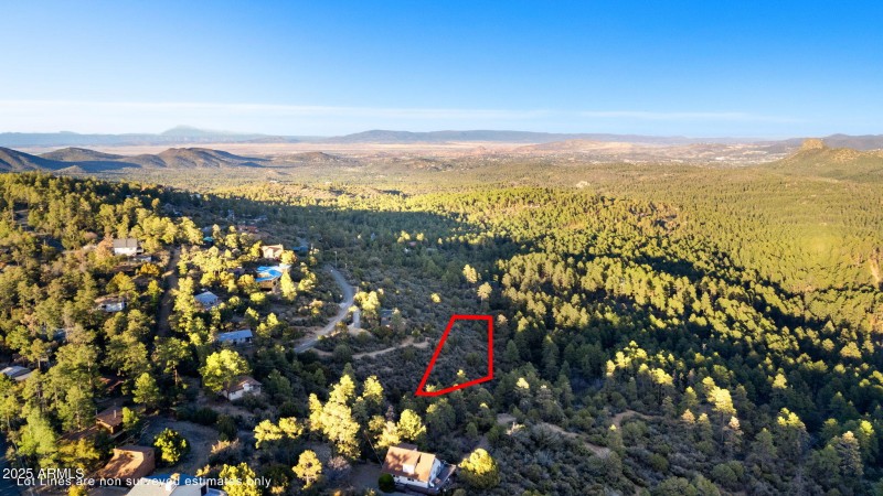 Aerial Lot Lines