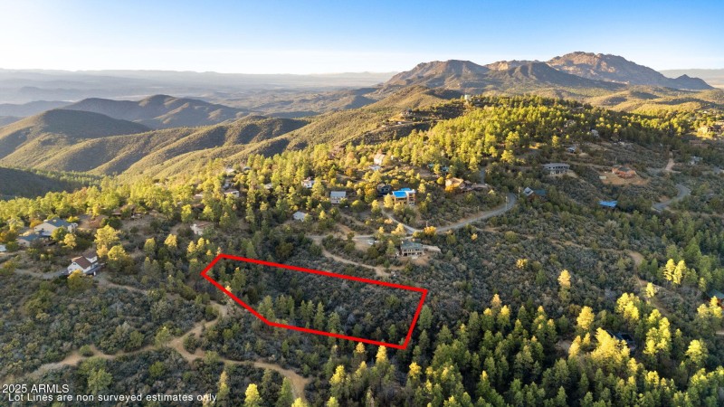 Aerial Lot Lines