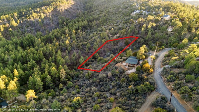 Aerial Lot Lines
