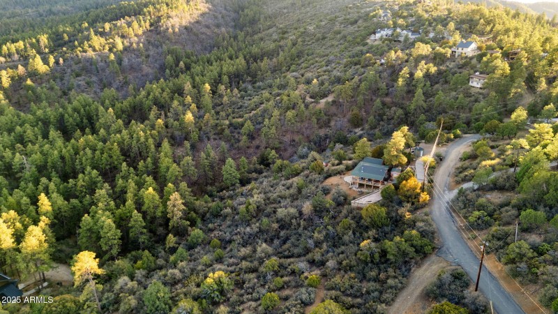 Aerial