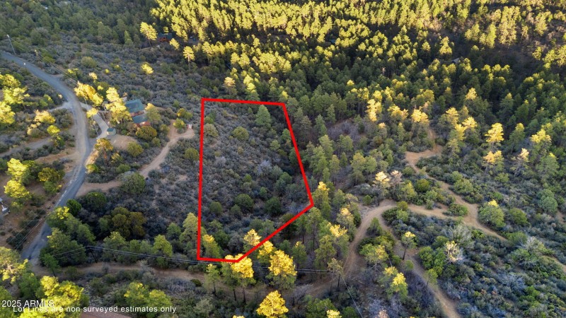 Aerial Lot Lines