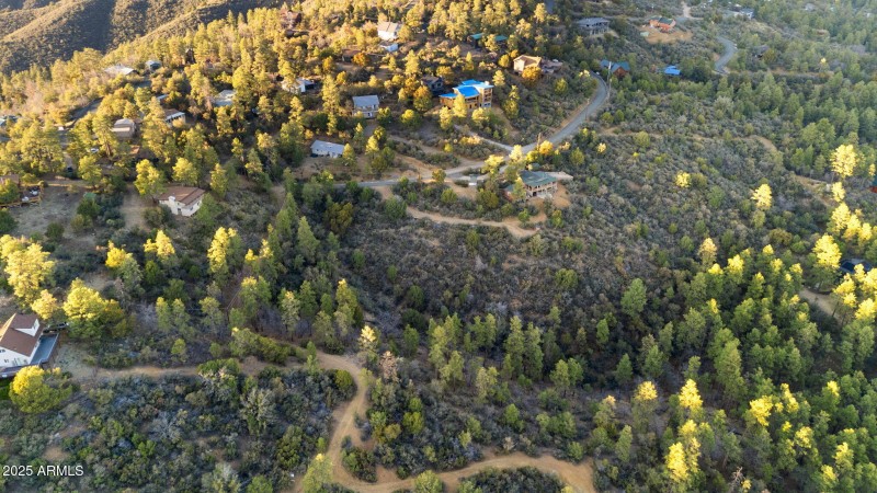 Aerial