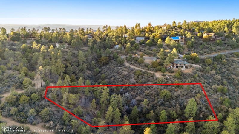 Aerial Lot Lines