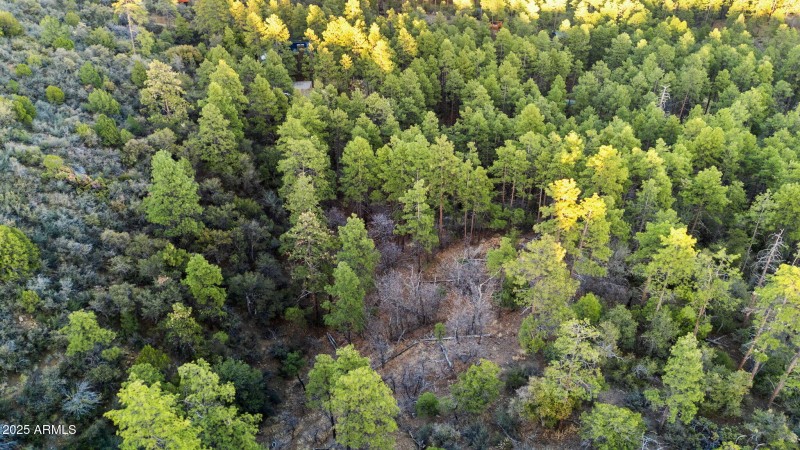 Lot Photo