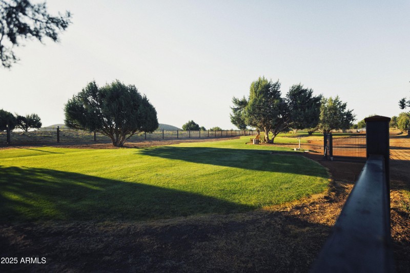 Dog Park