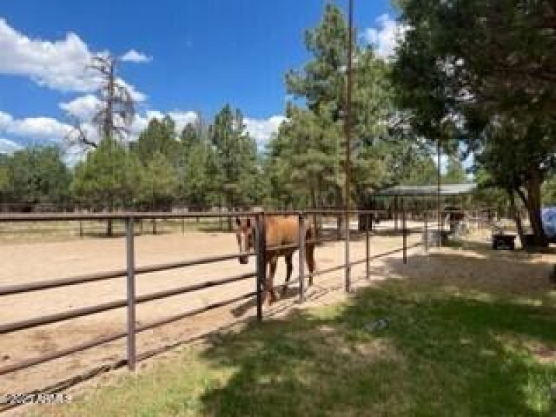 horse corrals